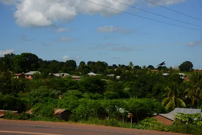 DSC_9700 (Large).JPG